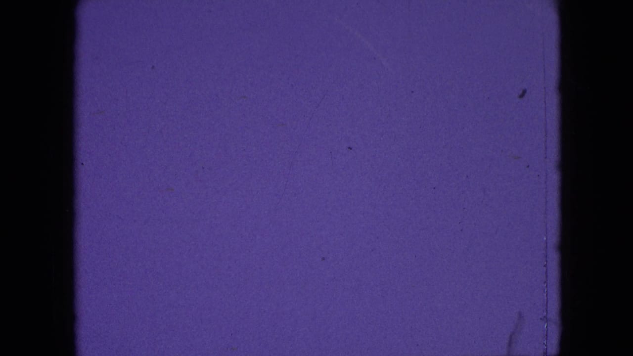 Purple film leader frame with grain, faint scratches, and dark contact-sheet divider.