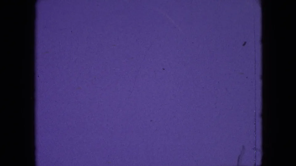 Purple 8mm leader frame from the 1964 clip metadata, with visible grain, faint scratch marks, edge wear, and a black divider from the contact sheet.