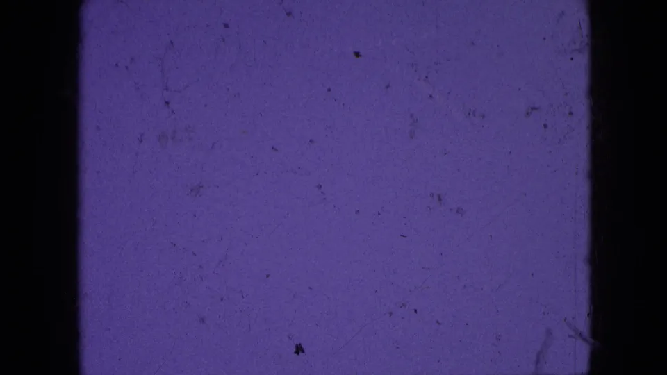 Purple-tinted 8mm leader frame showing heavier visible dust and small scratches, with black borders and the horizontal contact-sheet separation line.