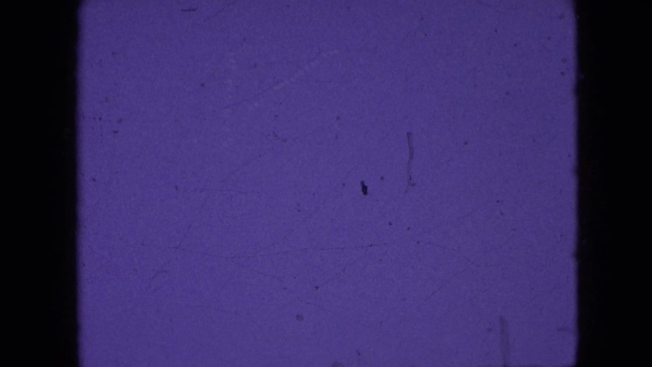 Purple-tinted film frame with dark borders and faint dust marks.