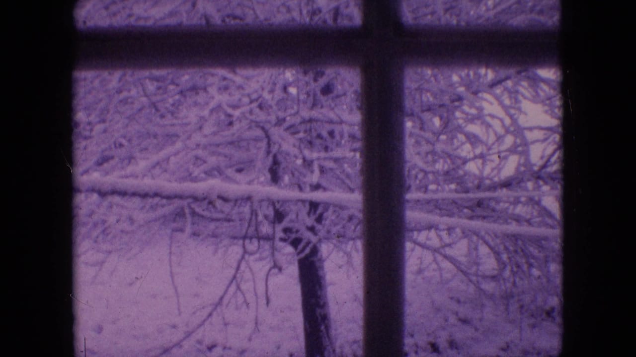 Snowy yard and tree branches framed by a window.