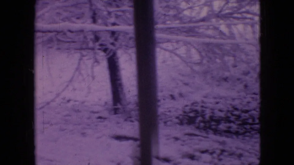 Lower portion of a residential window view showing snow on the ground and branches outside in the supplied 1964 Philadelphia footage.