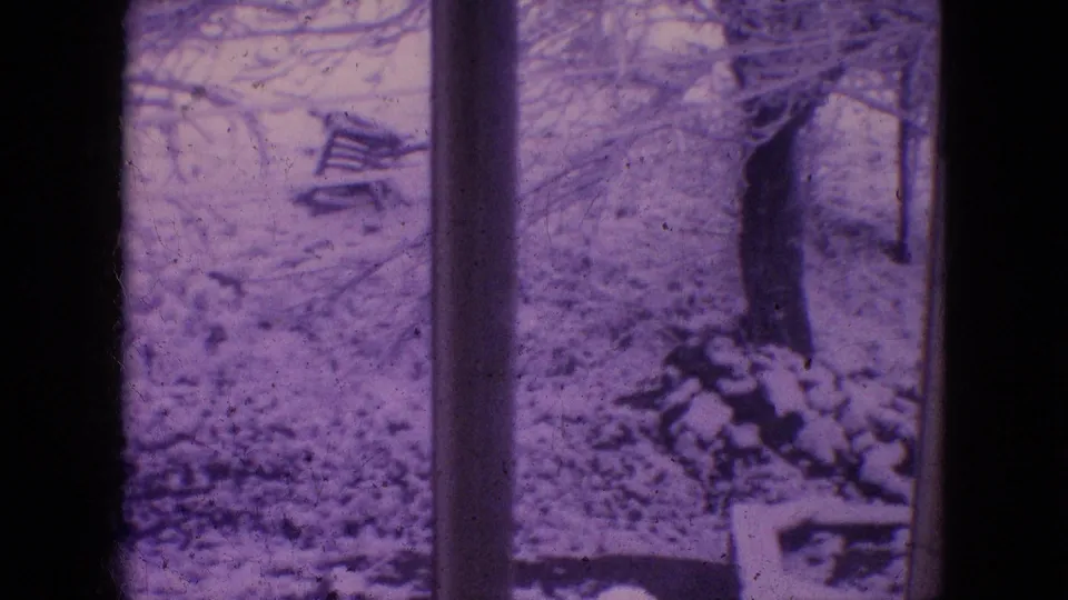 Snowy Philadelphia yard seen through window panes, with branches, a dark vertical frame, and a small chair-like outdoor object visible.