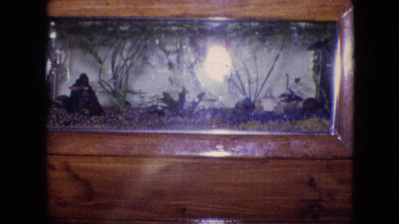 1964 8mm home-movie frame from Philadelphia showing a glass aquarium set into a wooden cabinet, with aquatic plants, gravel, small fish, and a bright glow on the glass.