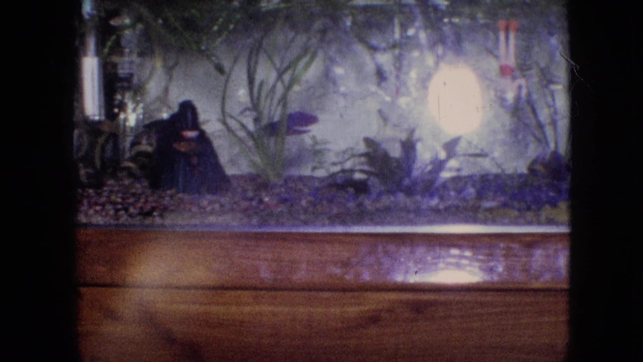 1964 Philadelphia 8mm home-movie frame showing a home aquarium with a dark decorative figurine, gravel, aquatic plants, fish, and a bright glowing tank light.
