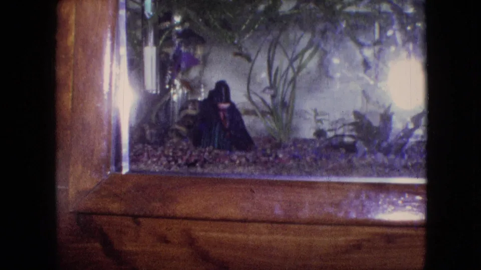 1964 Philadelphia 8mm frame showing the left side of a wooden-framed home aquarium, with gravel, aquatic plants, a dark figurine, fish, and light flare in the glass.