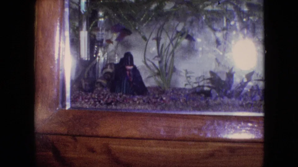 1964 Philadelphia home-movie still of a lit aquarium with a dark decorative figure on the gravel, small fish, green plants, bubbles, and the wooden tank frame below.