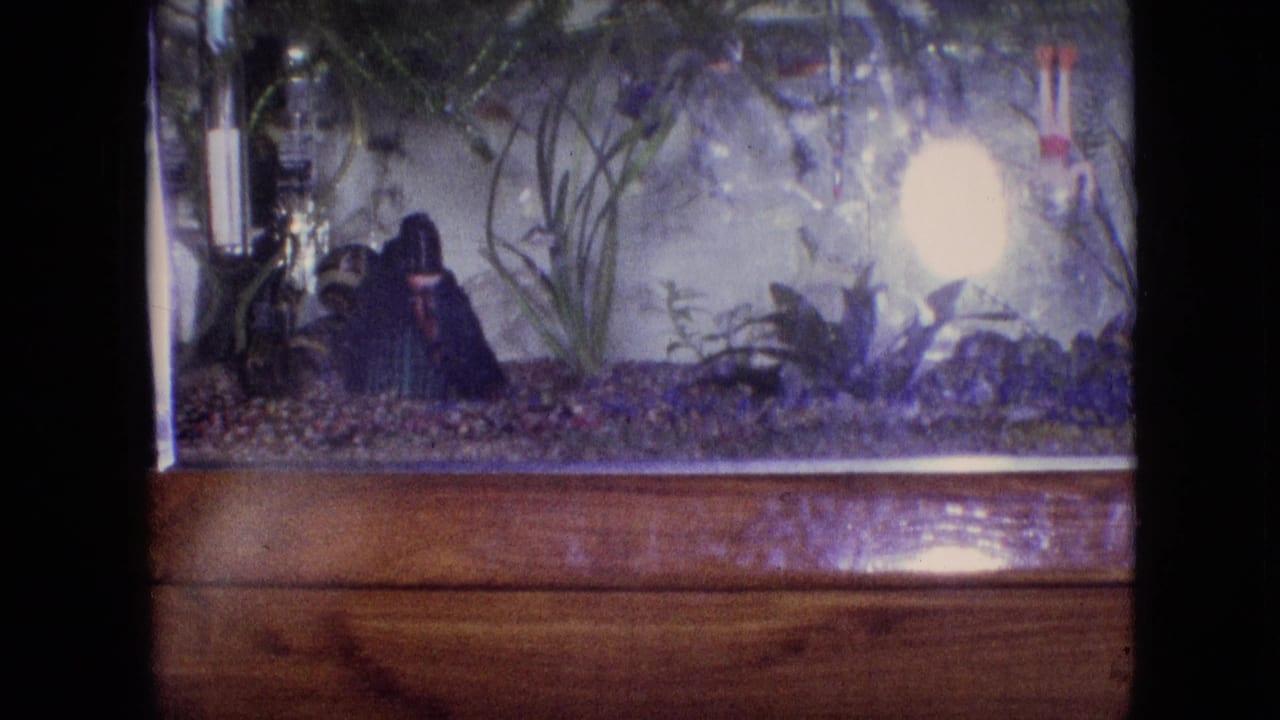 1964 Philadelphia 8mm frame showing a small household fish tank with aquatic plants, pebbles, a dark ornament, and a bright bulb glowing through the glass.