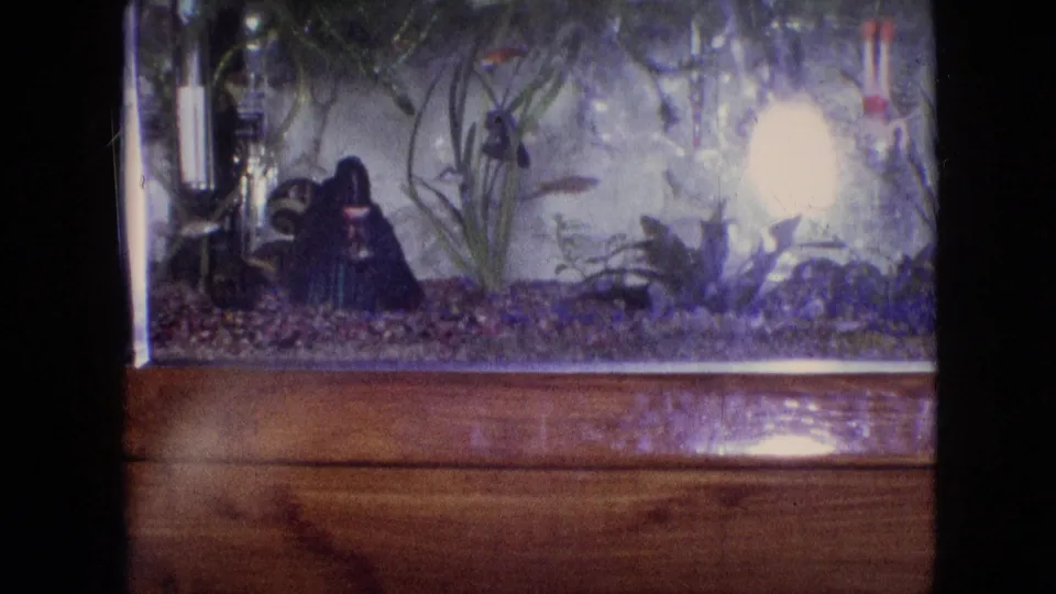 1964 Philadelphia 8mm still showing a small fish moving in a household aquarium beside plants, pebbles, a filter, and a bright bulb.
