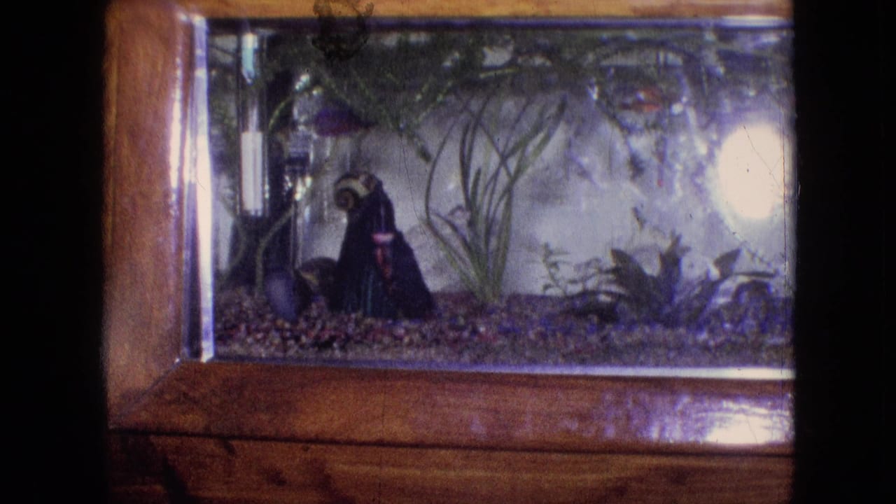 1964 Philadelphia home-movie frame showing a betta fish swimming near gravel, plants, and a small figurine inside a glass aquarium with a wooden base.
