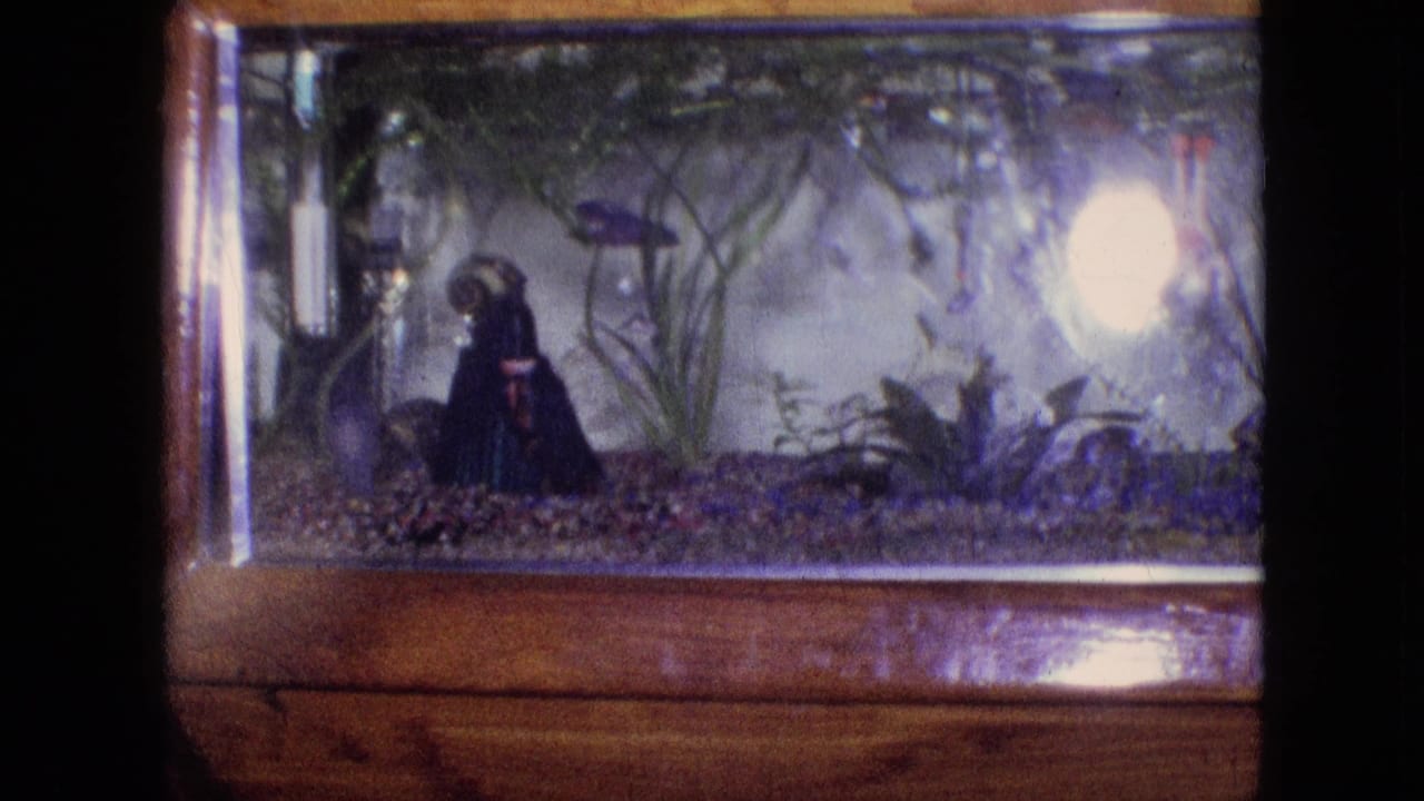 Small aquarium with a betta fish, plants, gravel, and bright glass reflection.