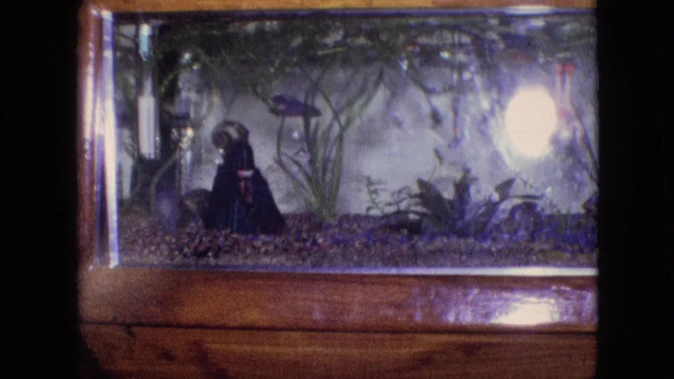 1964 Philadelphia home-movie frame of a betta fish in a small aquarium, with aquatic plants, gravel, a decorative figure, and strong reflected light on the glass.