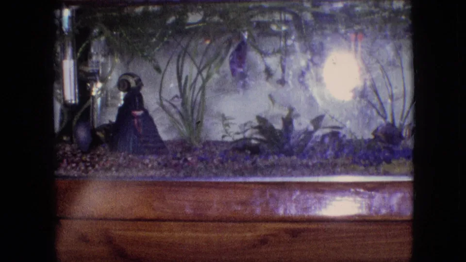 1964 Philadelphia home-movie frame showing a betta fish lower in the tank, with gravel, plants, a small figurine, and hazy reflected light across the aquarium glass.