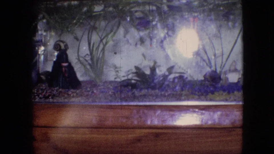 1964 Philadelphia home-movie frame of a betta fish in a freshwater aquarium, framed by gravel, aquatic plants, a decorative figurine, and a bright circular reflection on the glass.