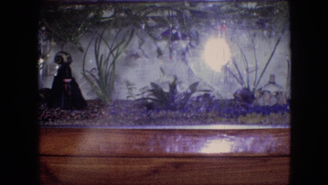 1964 Philadelphia 8mm home-movie frame showing a household aquarium with aquatic plants, purple-toned gravel, a bright glass reflection, wooden framing, and a dark decorative figure at the left edge.