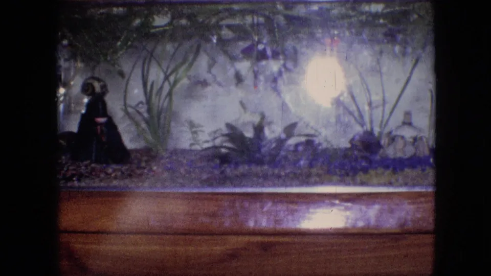 1964 Philadelphia 8mm home-movie frame showing a household aquarium with aquatic plants, purple-toned gravel, a bright glass reflection, wooden framing, and a dark decorative figure at the left edge.