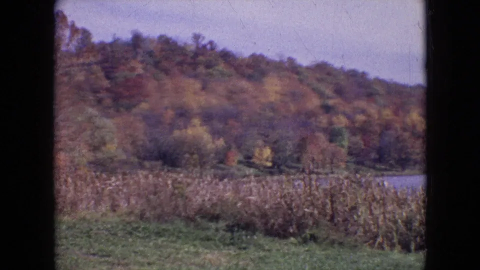 1964 8mm frame showing autumn trees on a hillside, dried reeds in the foreground, and a small lake or pond edge at right.
