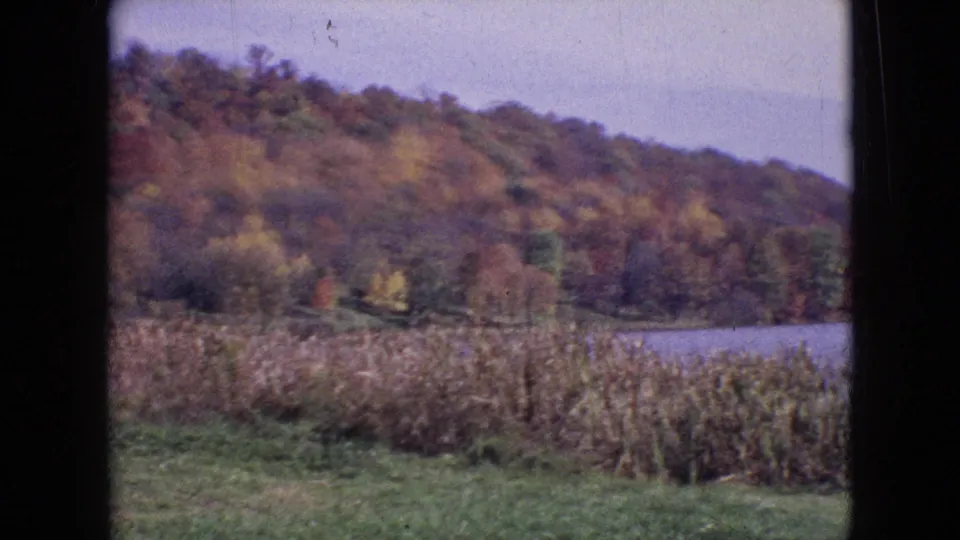 The 1964 home-movie frame holds on reeds, grass, a wooded autumn slope, and a visible pond or lake shoreline at the right.
