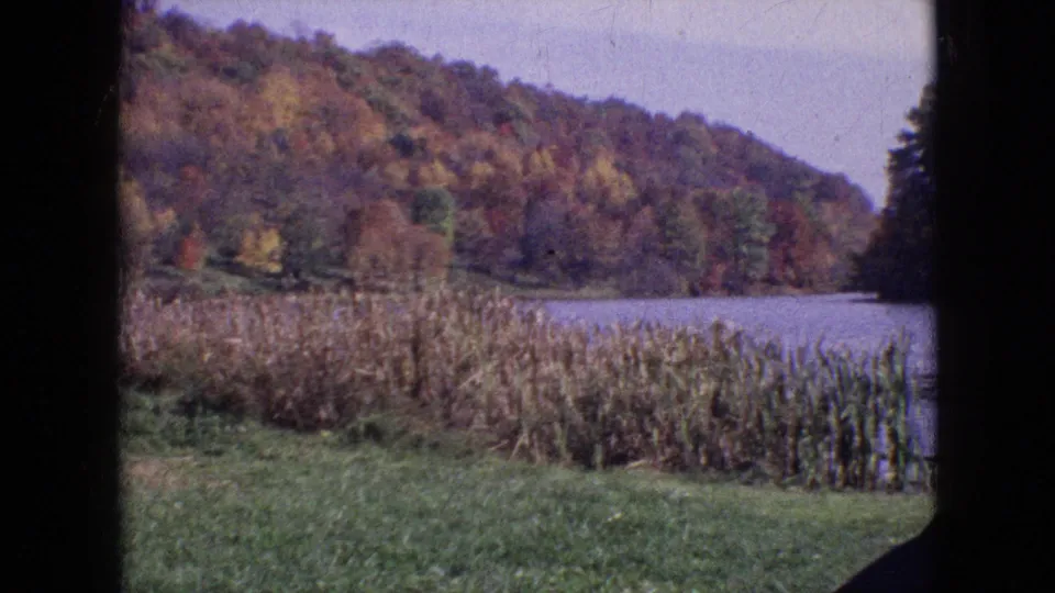1964 8mm frame showing grass and reeds in the foreground, a pond or lake at right, and autumn-colored trees covering the hillside beyond.