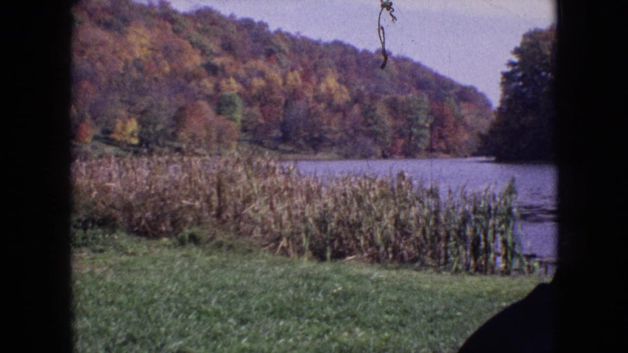 1964 8mm home-movie frame from Philadelphia showing a calm river bordered by reeds, grass, and a wooded hillside in fall color.