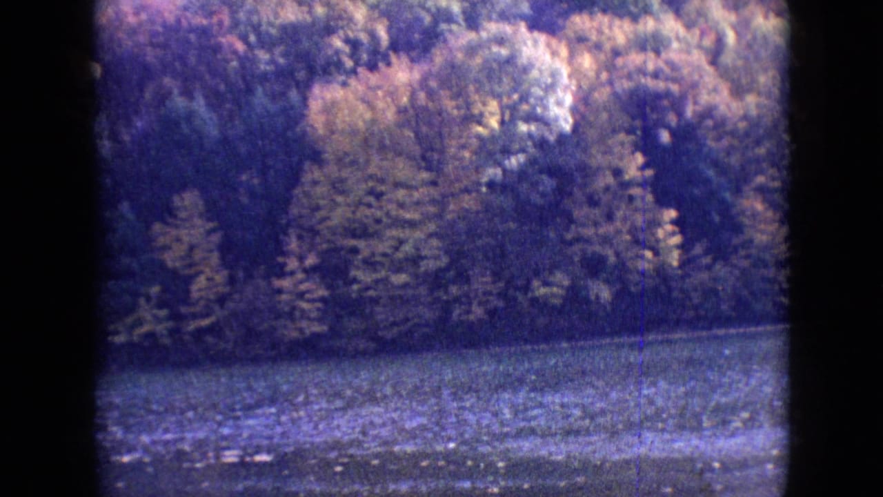 Rippling lake water and a wooded autumn shoreline framed by dark film borders.
