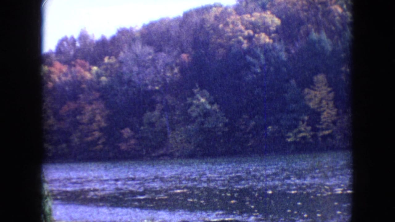 1964 8mm home-movie frame from the Philadelphia, Pennsylvania area showing a calm lake or pond edged by dense trees with early autumn color.