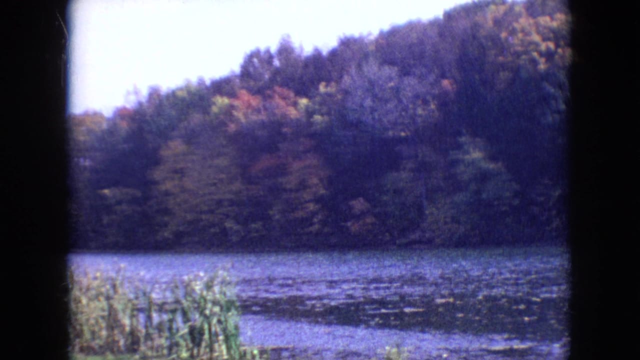 Lake edge with cattails in the foreground and wooded hills beyond.