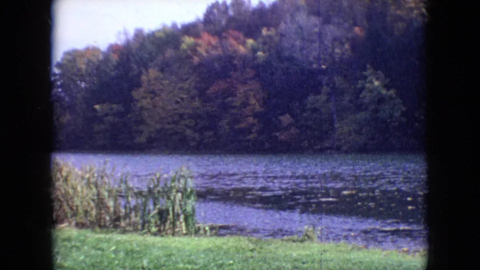 1964 8mm home-movie frame from the Philadelphia, Pennsylvania area with a grassy bank, reeds, rippled water, and a wooded shoreline in early autumn color.