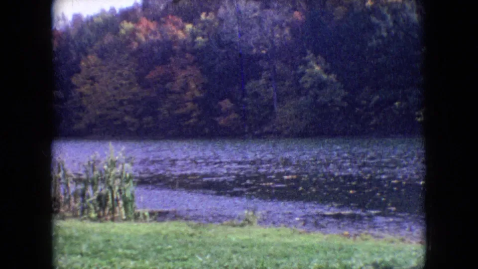 1964 8mm frame showing reeds and a grassy shoreline in front of still water and dense autumn-tinted trees, with visible film grain and border edges.