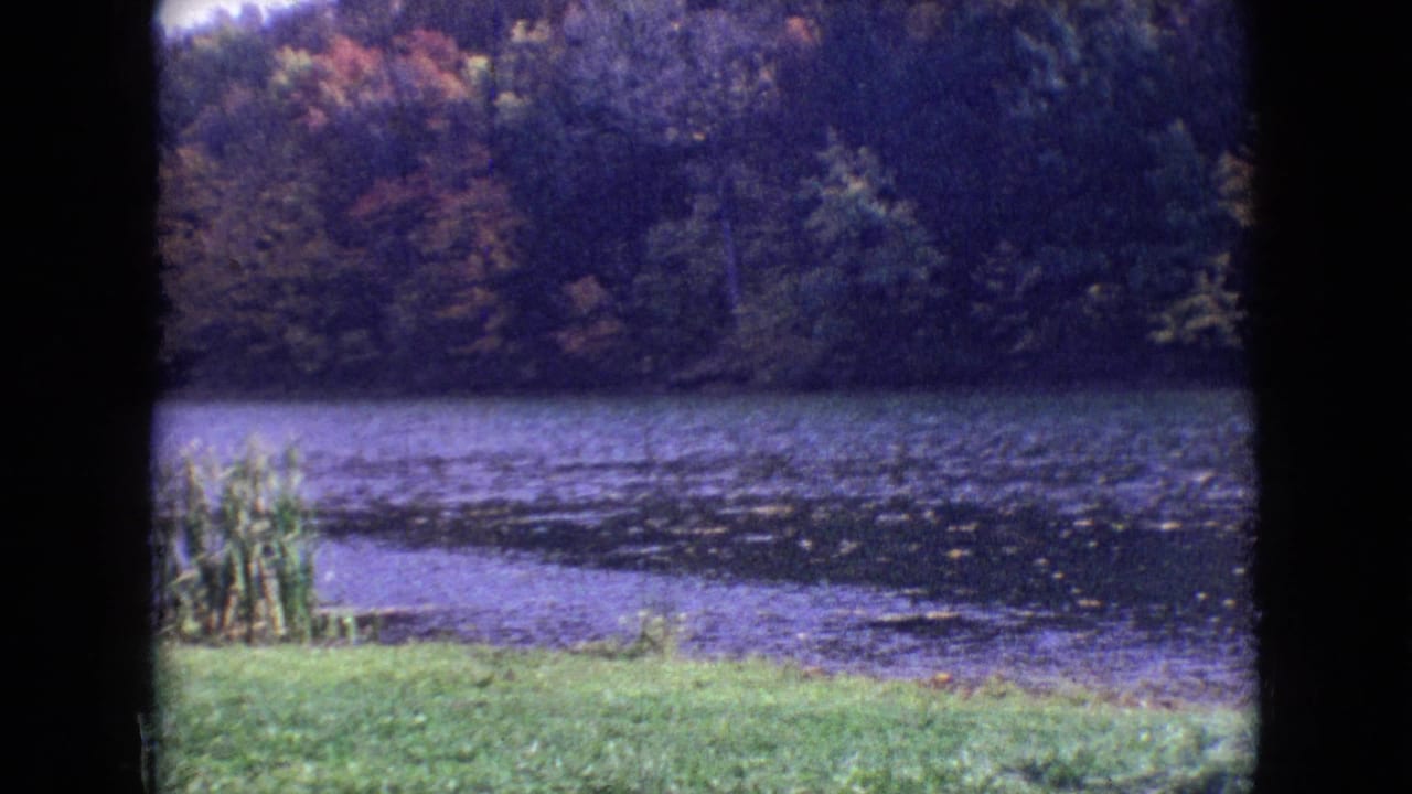 1964 8mm home-movie frame of a quiet Philadelphia lakeside scene with grass in the foreground, water across the middle, and wooded autumn shoreline beyond.