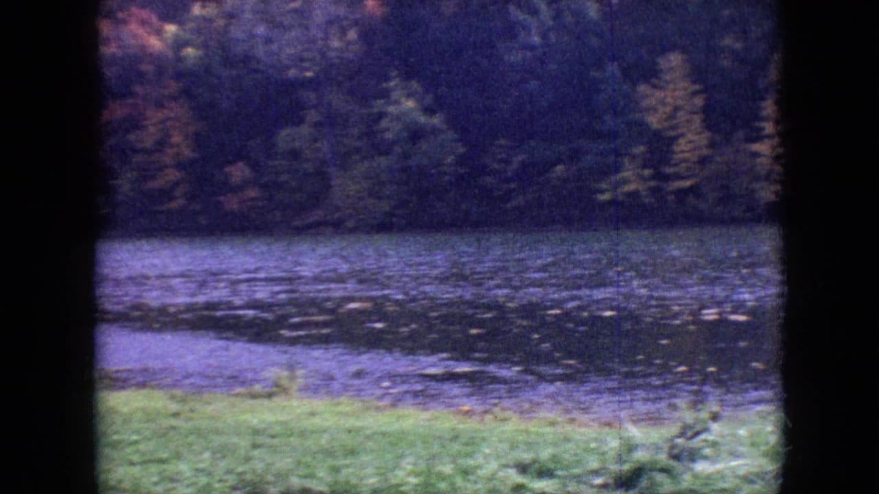 Lake surface bordered by grass and trees, divided by dark contact-sheet borders.