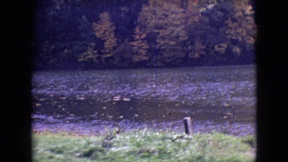 1964 8mm home-movie frame of a wooded lakeside view with rippled water, autumn trees, grass, and a small foreground post.