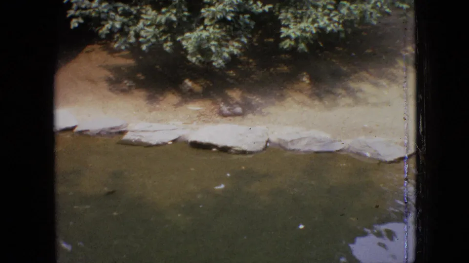 1964 Philadelphia home-movie view of a quiet pond enclosure with stone edging, shallow water, and shaded vegetation.