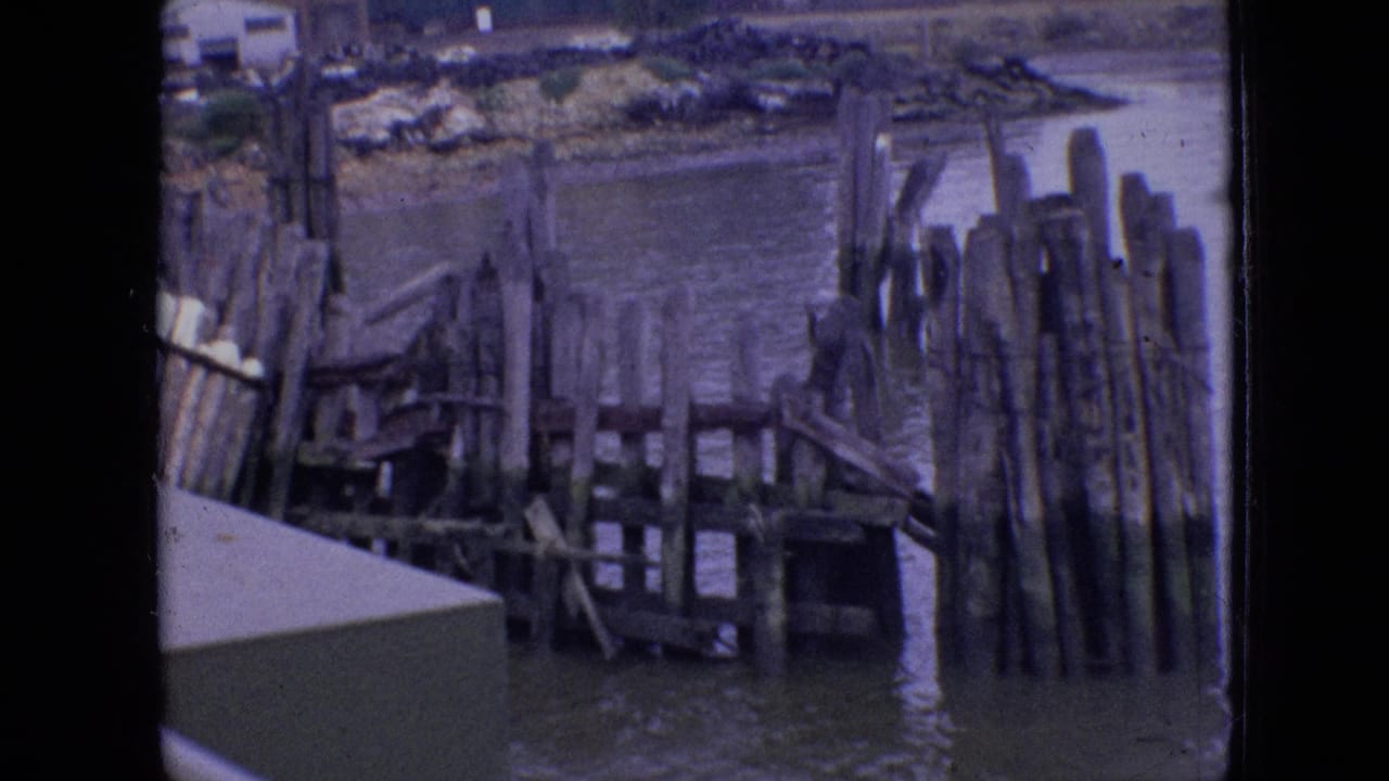 Weathered wooden dock and pilings beside calm water.