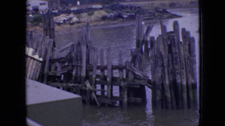 1964 Philadelphia waterfront view of a deteriorating wooden dock with clustered pilings and still water, seen from a nearby boat or structure.