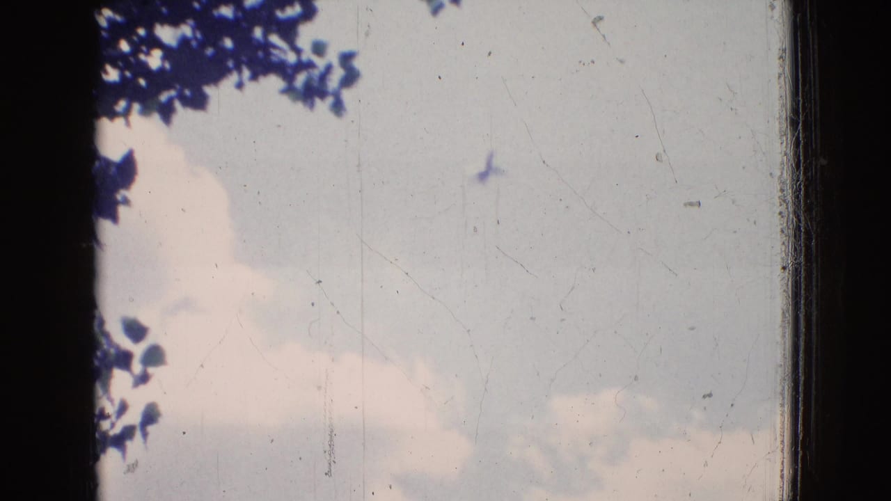 A 1965 New Jersey 8mm frame showing pale clouds and blue sky seen through dark frame edges, with tree leaves visible near the top left.