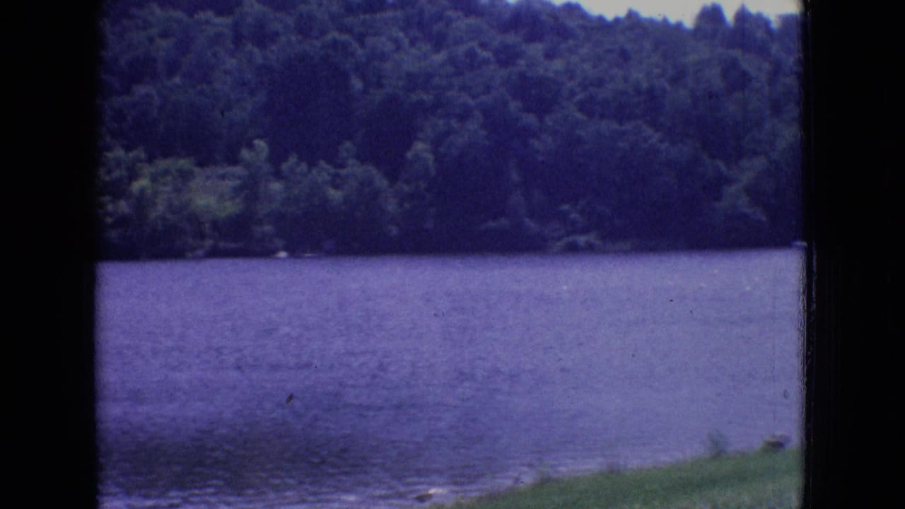 Lake water in the foreground with dense trees and hillside on the opposite shore.