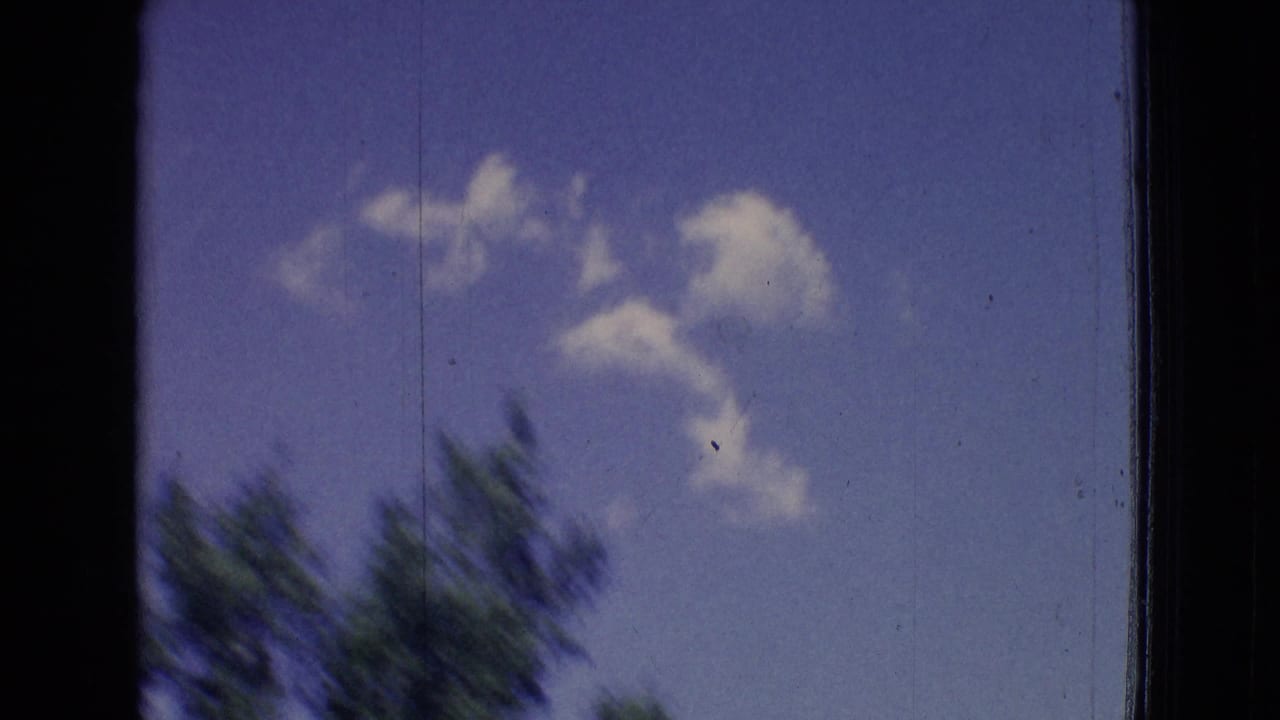 Blurred treetops below a blue sky with scattered white clouds.