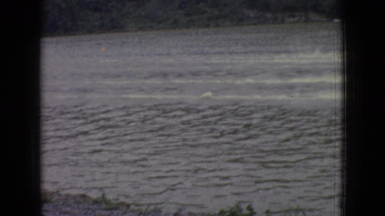 Boat wakes streak across rippled lake water near a wooded shore.