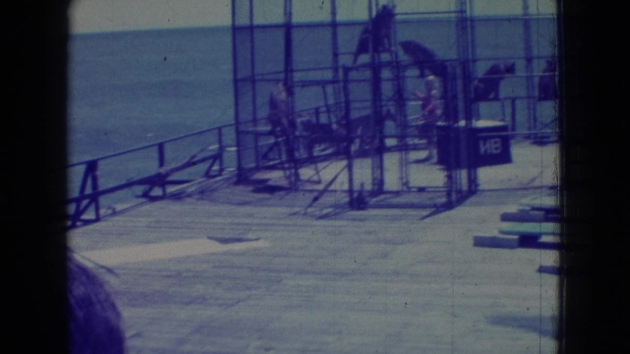 1965 New Jersey 8mm frame showing tigers inside a large metal cage on a wooden pier beside the ocean, with a trainer area partly visible.