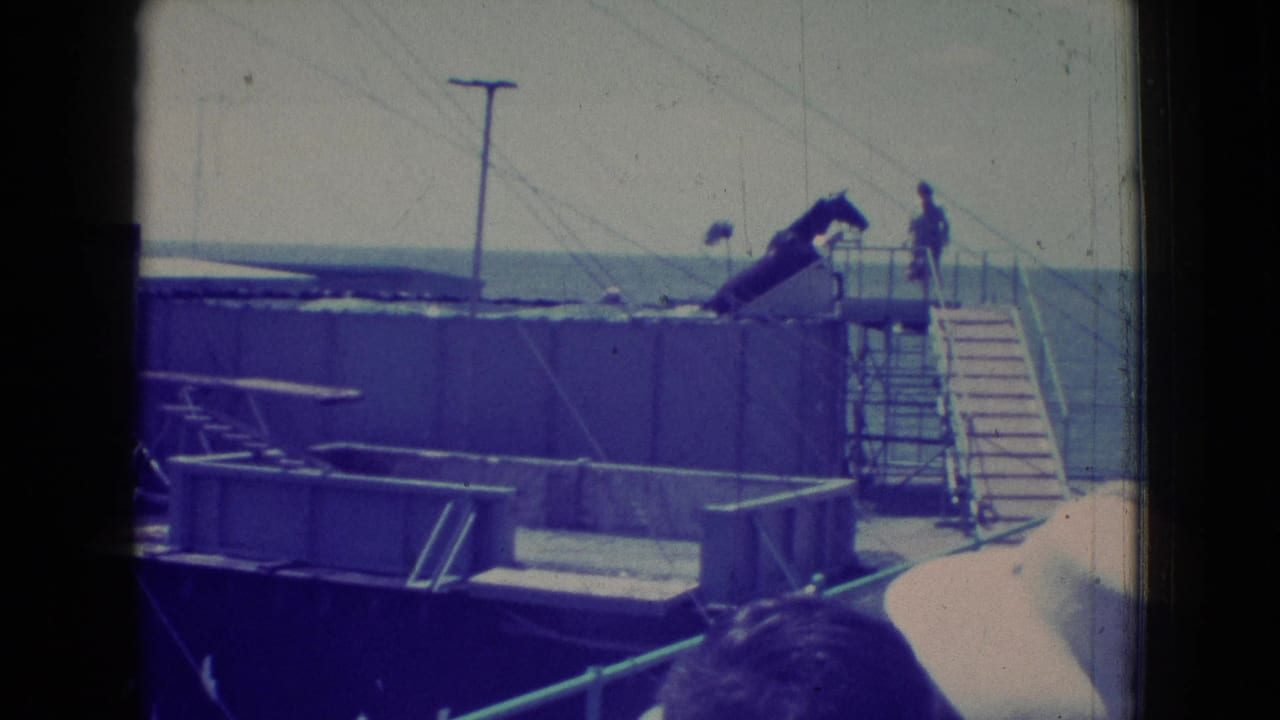 1965 New Jersey 8mm frame showing a dark horse with a visible person near a raised wooden ramp above seaside water, with stairs, railings, and utility lines in view.
