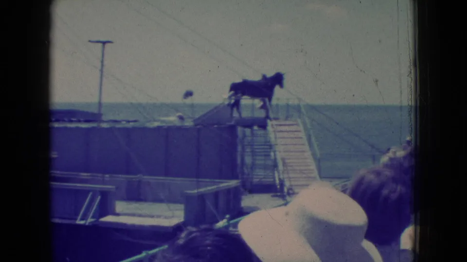 1965 New Jersey 8mm frame showing a horse on a raised seaside platform with stairs and railings, while spectator heads appear in the foreground near the water.