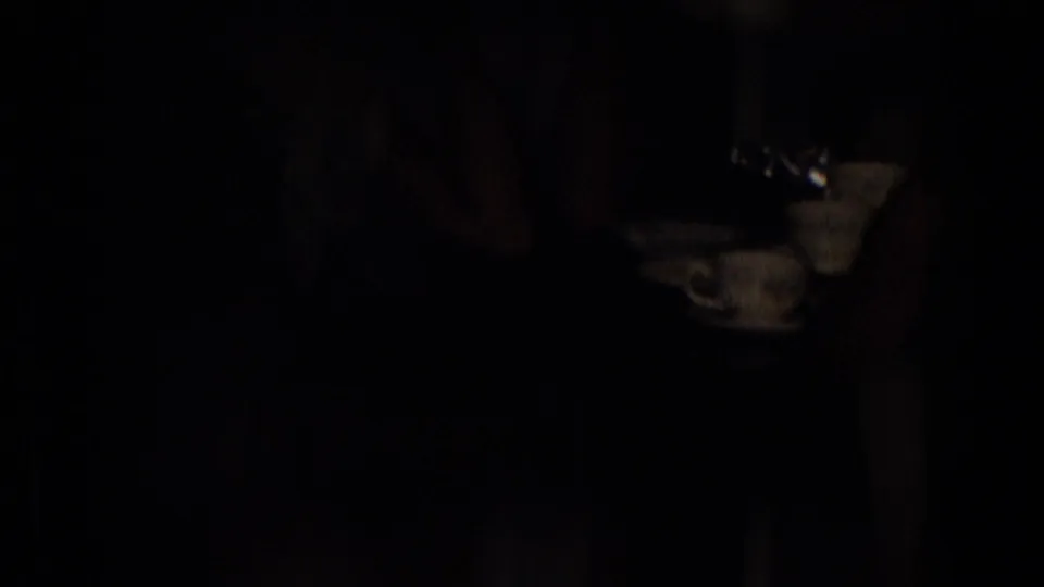Dark 1965 New Jersey home-movie frame showing a dim domestic table area with a cup and saucer partly visible, though most figures are obscured by shadow.