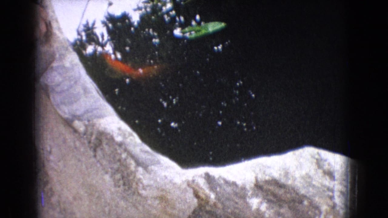 1965 New Jersey 8mm frame showing orange goldfish beneath a dark reflective pond surface beside a pale stone border.