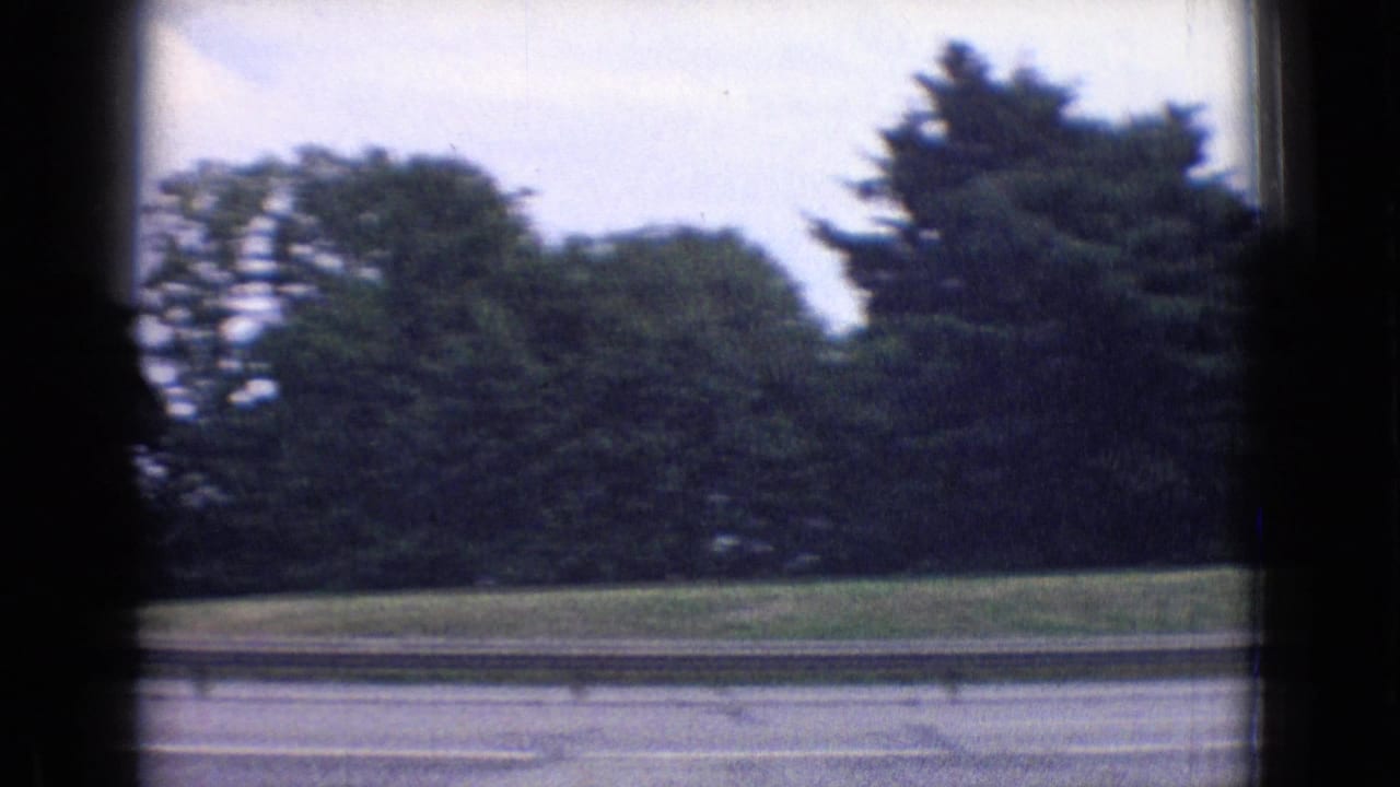 Trees and a highway guardrail passing by from a vehicle window.