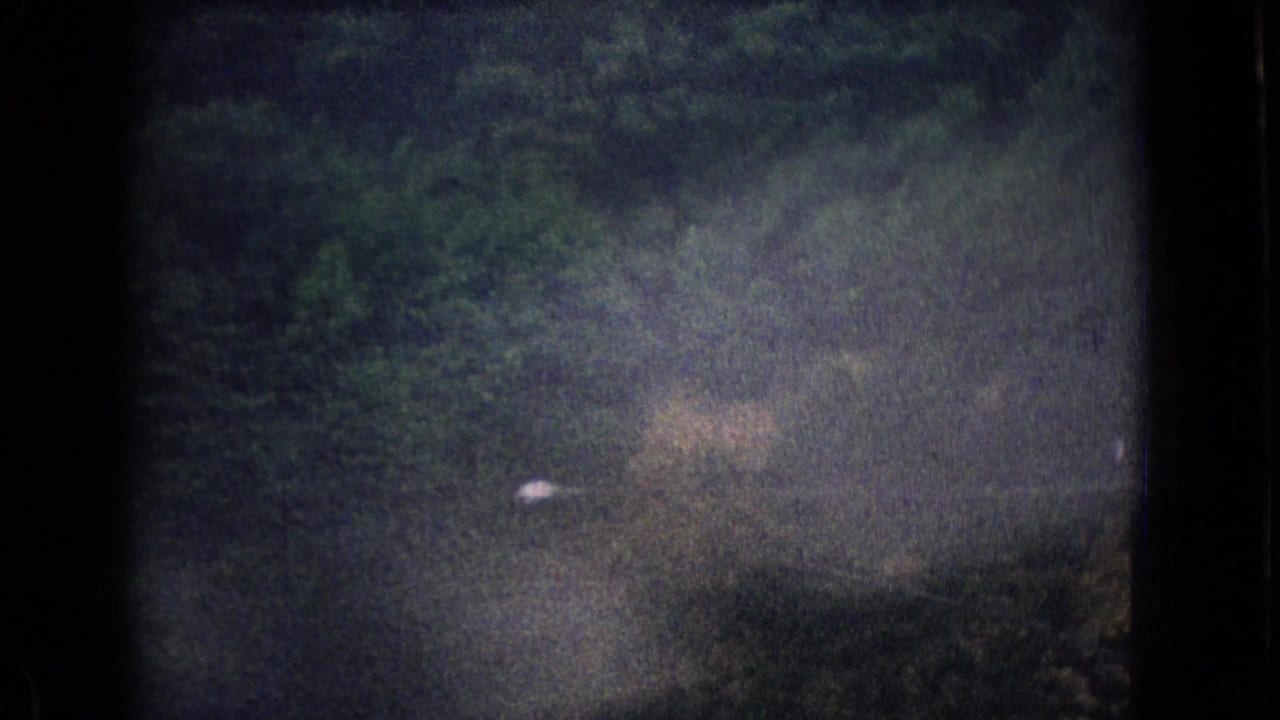 Blurred wooded hillside with a roadside light and dark film border.