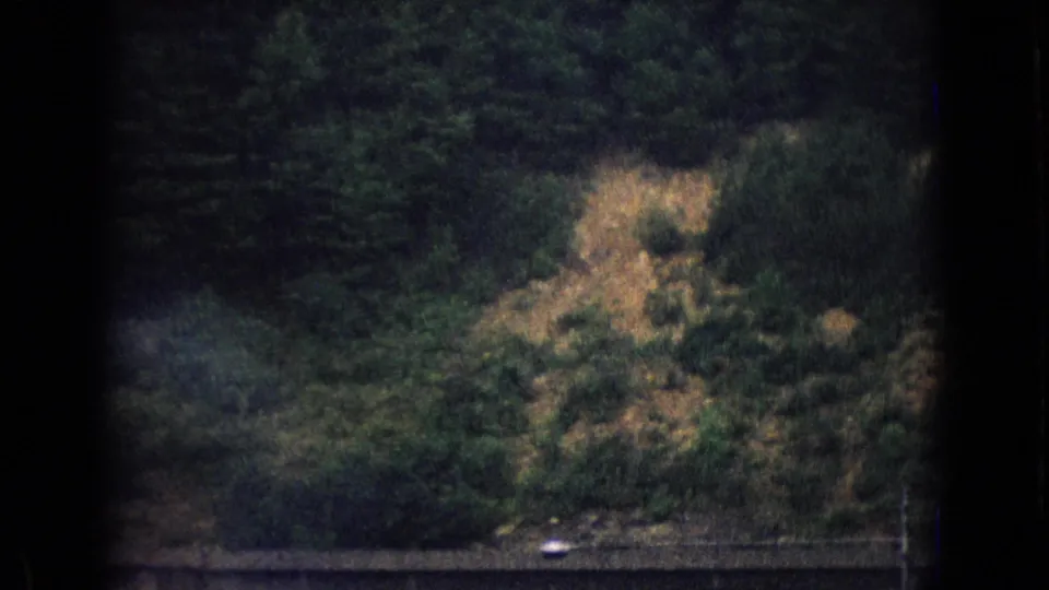 1965 8mm home-movie frame showing a green wooded slope, exposed earth, and roadway edge as the vehicle continues along the tunnel approach.