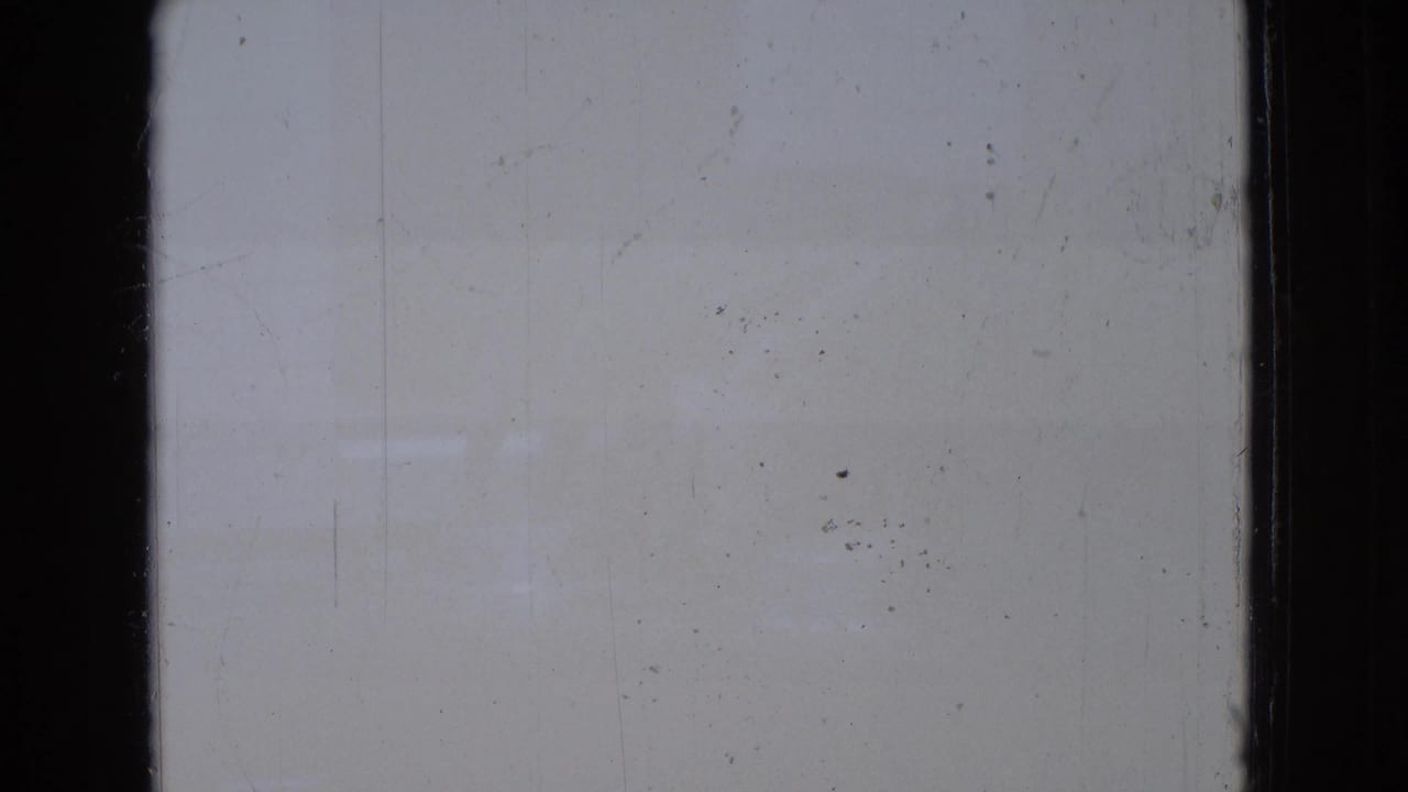 A mostly blank 8mm frame from the 1965 New Jersey clip shows pale exposure, surface marks, dust, and black film-gate edges before the zoo animal shots begin.