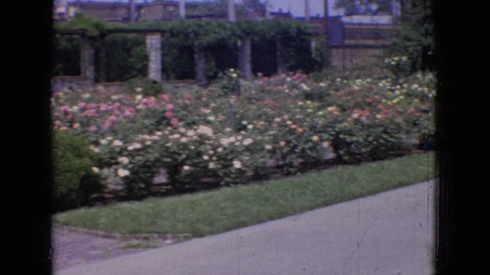 1965 New Jersey 8mm frame showing a rose garden with pink and white blooms, hedges, grass, and a paved walkway in a landscaped public setting.