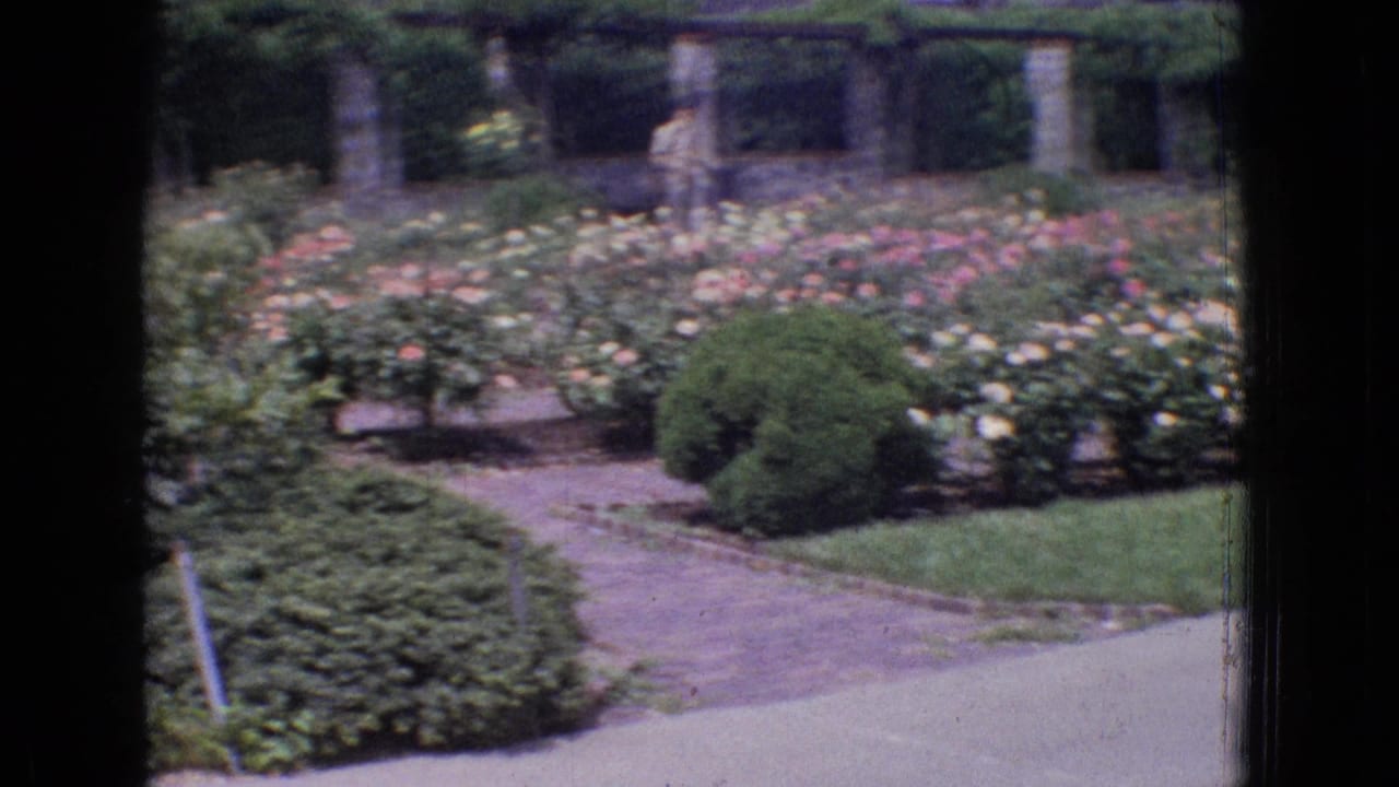 Garden path curves beside rose beds, shrubs, and vine-covered stone supports.